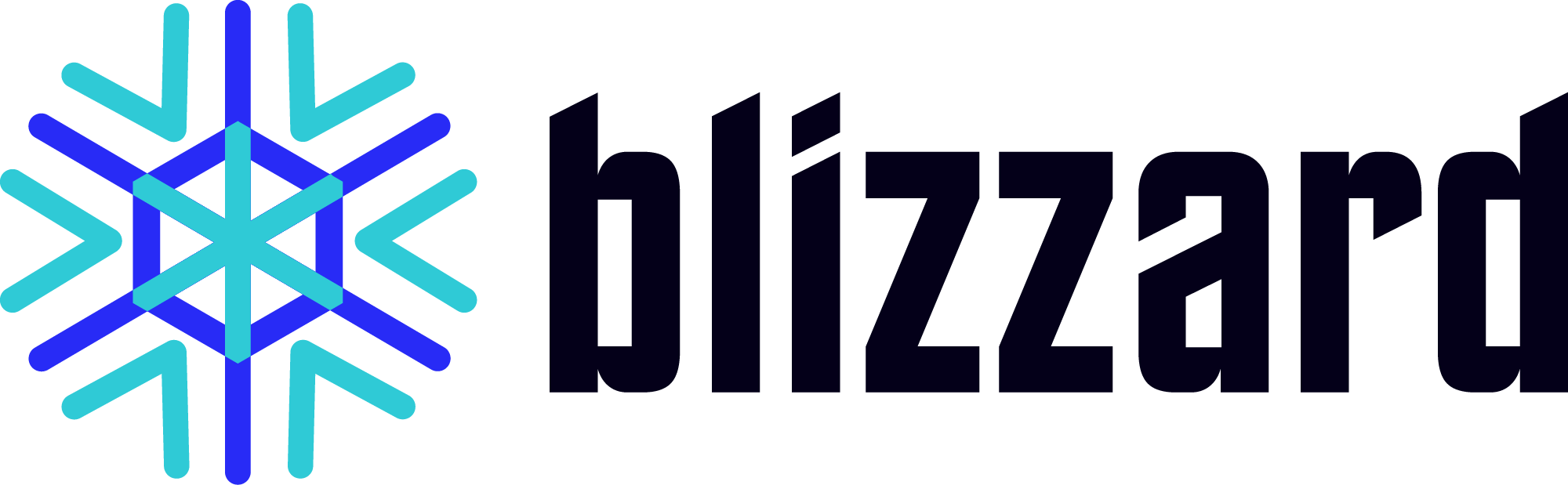 Blizzard Pro logo