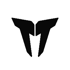 TT+ Audio logo
